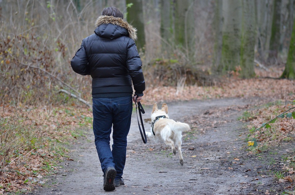 Hälsofördelar med att äga hund