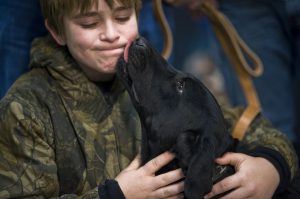 dog-659870_960_720